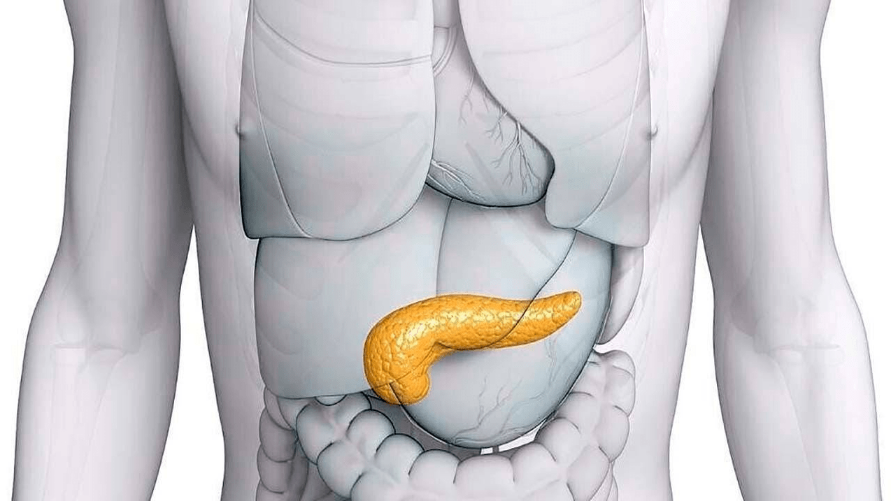 zdravý pankreas po užití Glucoren